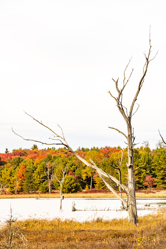 Beaver Run Pond Wildlife Viewing Area Parking Gallery - United States
