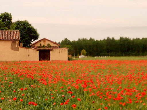 casa rural Lamadretierra - Thumbnail