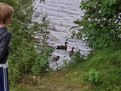 Beaufort Lake State Forest Campground