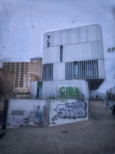 Centro de Investigación Biomédica de Aragón - Thumbnail