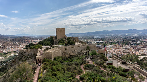 Torre Alfonsina