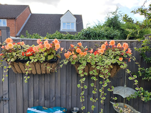 EVERGREEN NURSERIES - Thumbnail