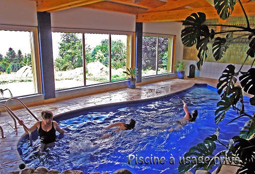 Photo de location vacances gite/chalet + PISCINE privée à Gérardmer Vosges à Gérardmer (88400)