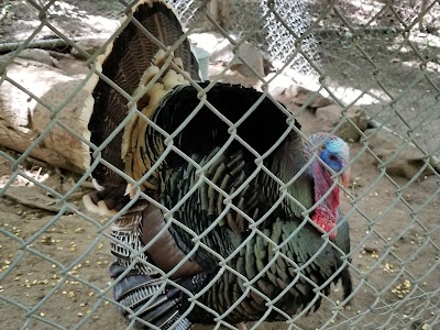 3 Palms Zoo & Education Center