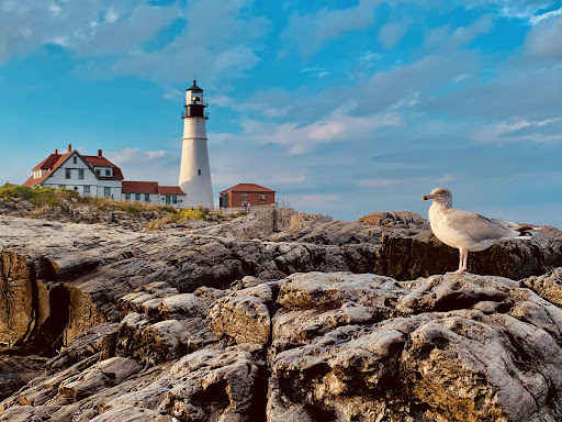 Portland Explorer Tourism