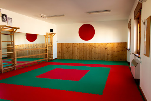 Palestra Shinken club Castro