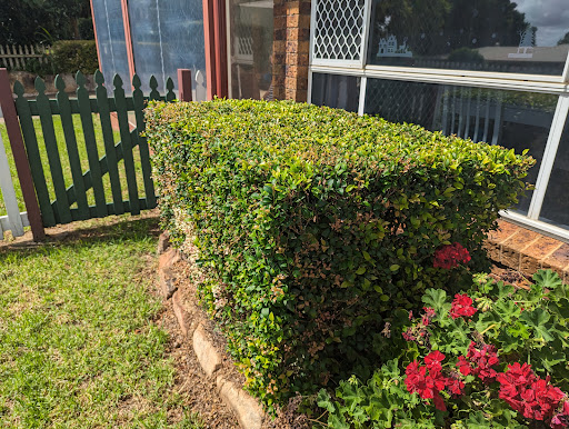 Yard n Home - Thumbnail