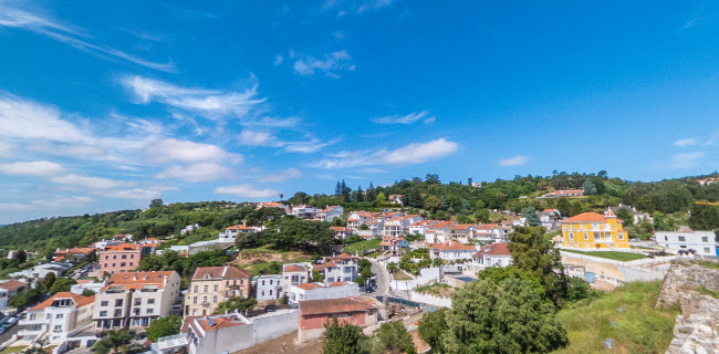 Castelo de Alcobaça