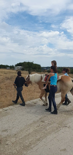 ул. „3-та“ N° 81, 9151 Кичево