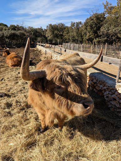 Parc animalier de Ginasservis - Thumbnail