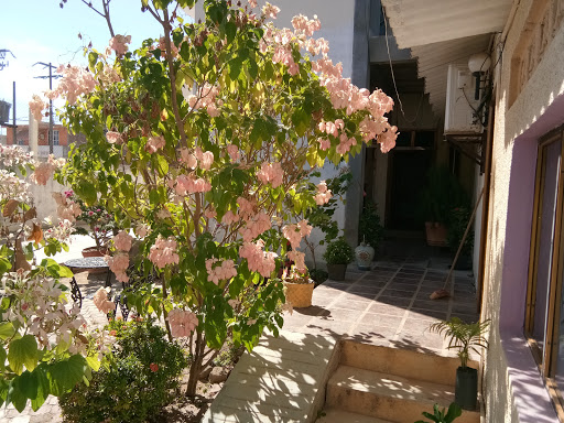 Hotel Lozano - Thumbnail