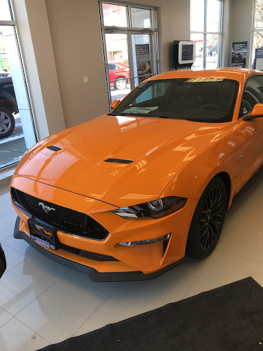 Dickson Ford - Visual