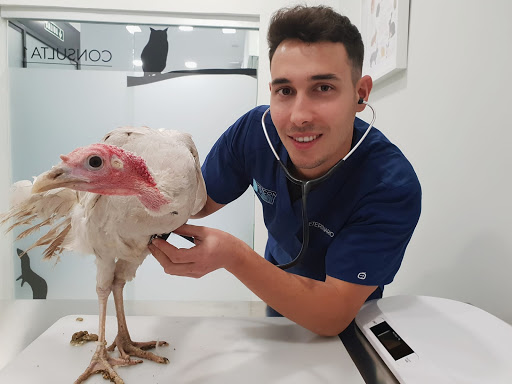 VETCON Veterinario Animales Exóticos