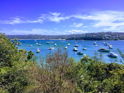 Manly To Spit Bridge Coastal Walk - Thumbnail