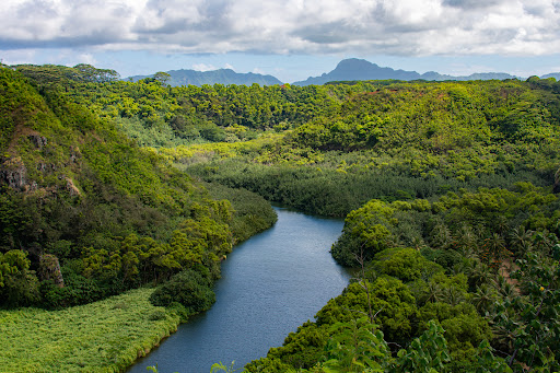 Opaeka‘a Falls