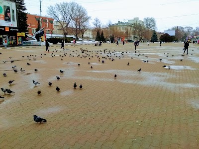 Photos of Parcul Municipal