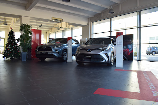 Centro Assistenza Autorizzato Toyota Jolly Motori Gallery - Italy