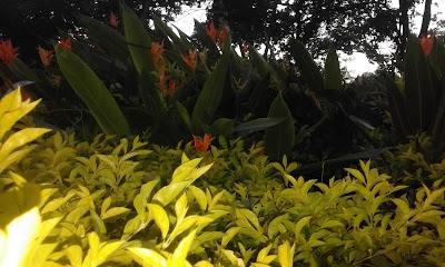 Photos of Parque Jardin Botanico