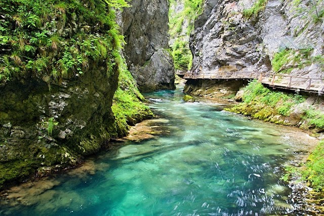 Vintgar gorge