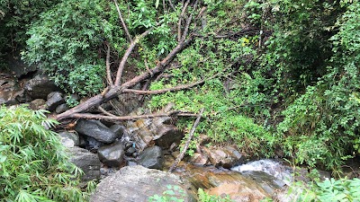 Photos of Sri Metta Biksuni Aramaya