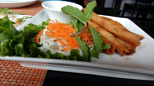 Jin Thai - Visual