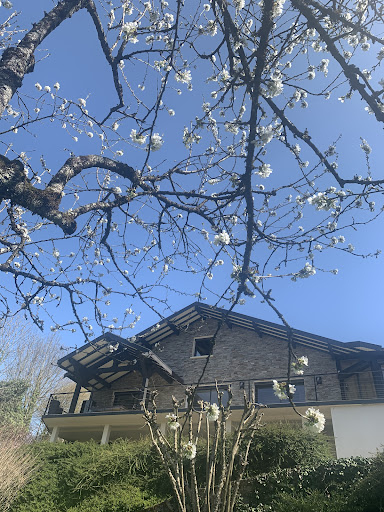 Photo de Logis Alb Hôtel Grill à Alby-sur-Chéran (74540)