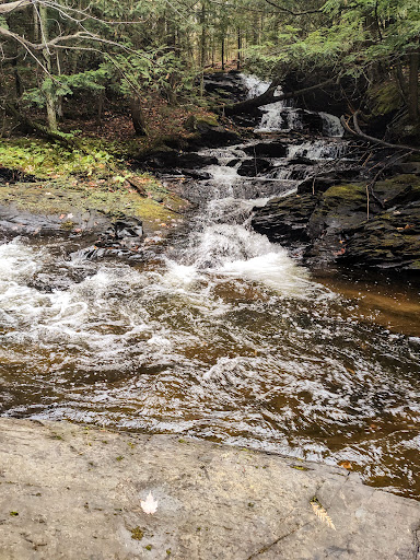 Gomanche Falls