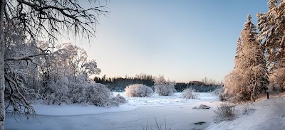Photos of Kivi Turismitalu