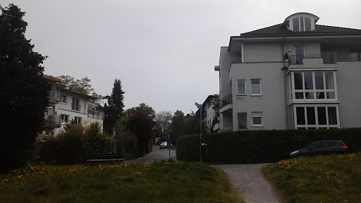 Waldorfschule - Thumbnail