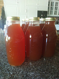 Photo n°18 de Chambre d'hôtes & Studio de vacance du Domaine du Meigneau à Banize (Location d'appartement de vacances)