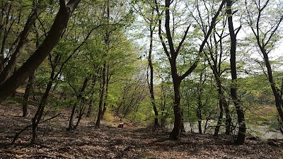 Photos of 김포다도박물관