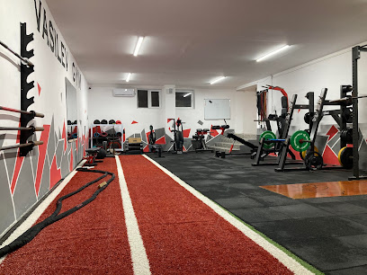 VASILEV GYM