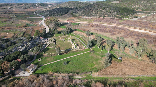 Σχόλια και κριτικές για το Ναός Βραυρωνίας Αρτέμιδος