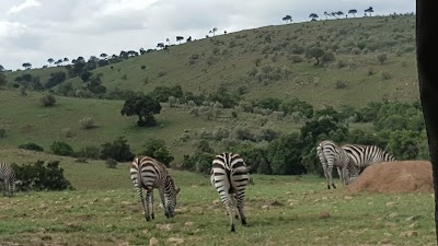 Photos of Indaba Campsite