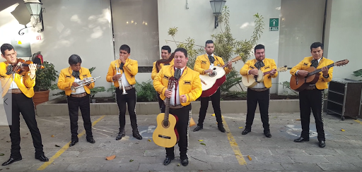 Mariachi Guadalajara - Serenatas En Guadalajara