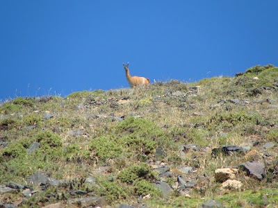 Photos of ArribadelValle