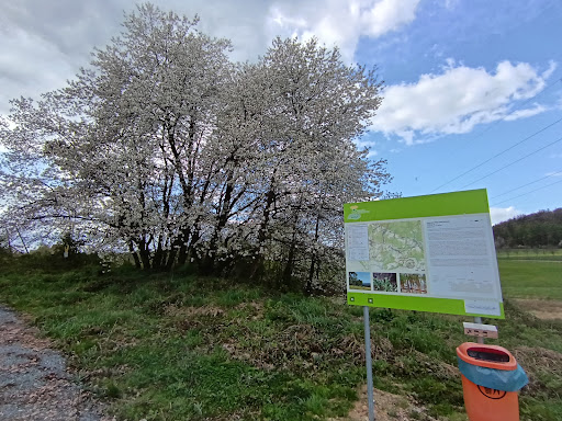 Wanderparkplatz Generalsblick - Visual