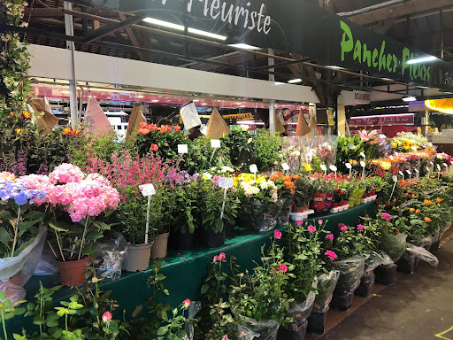 PANCHER FLEURS L'Isle-Adam