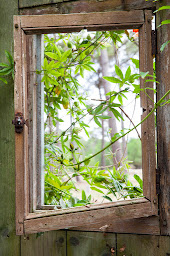 Photo n°29 de Pizzeria des Bois à Le Porge (Pizzeria)