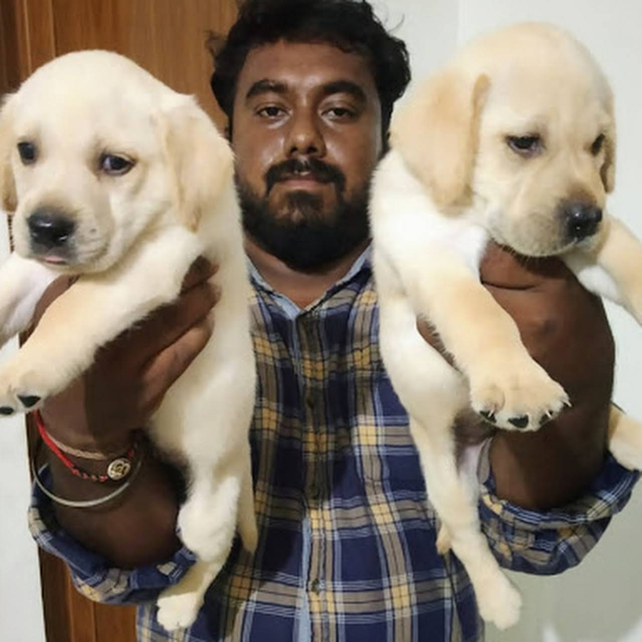 Odisha Dog And Puppy House Pet Shop In Bhubaneswar