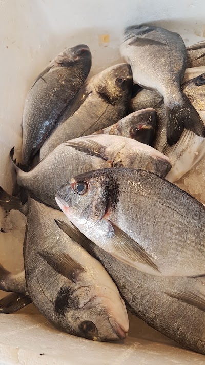 Photos of Fish Market karantina