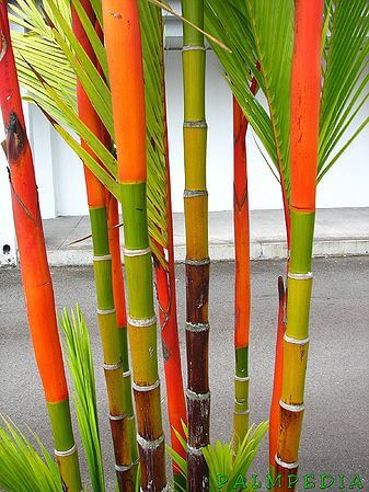 Gallery image 84