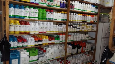 grocery-or-supermarket