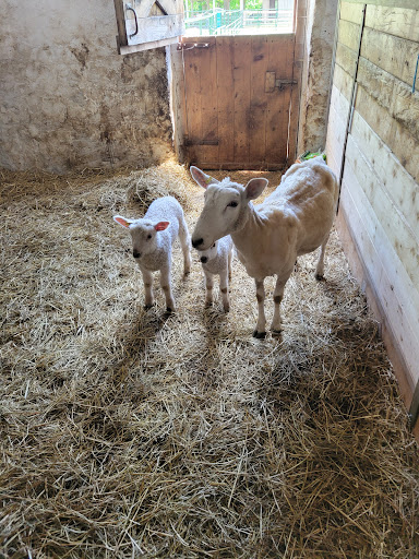 WindReach Farm Admin - Thumbnail