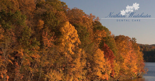 Dr. Seth Keiles, DMD