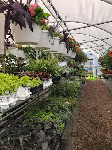 Clearview Garden Center - Thumbnail