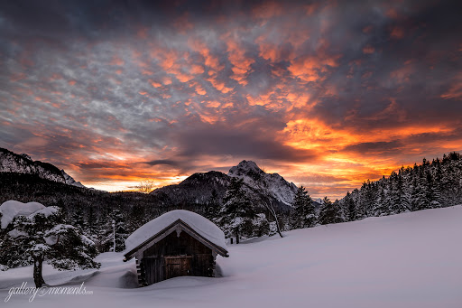 gallery-of-moments - Thumbnail