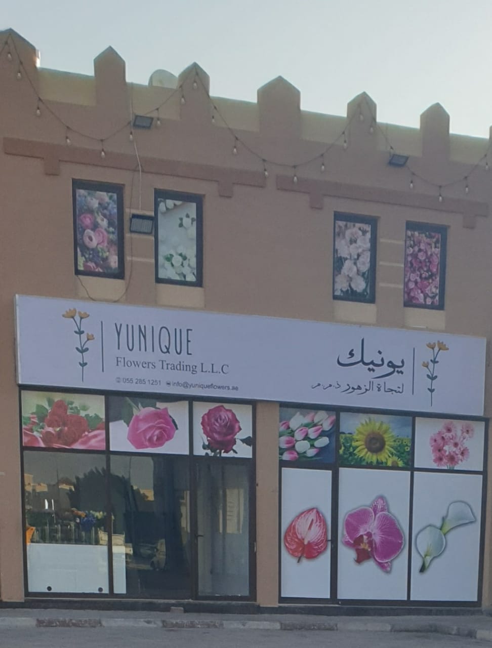 Viola flower - صورة 4