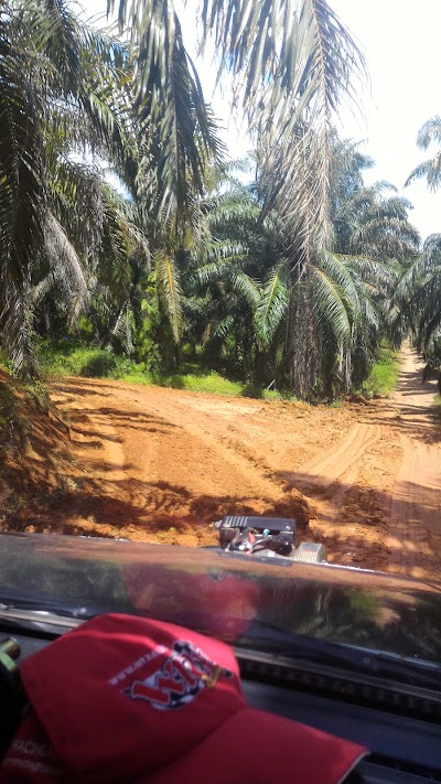 Photos of PT Perkebunan Minanga Ogan