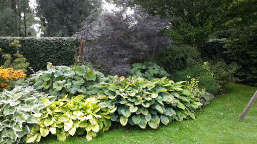 Ô Jardin Paisible - Thumbnail